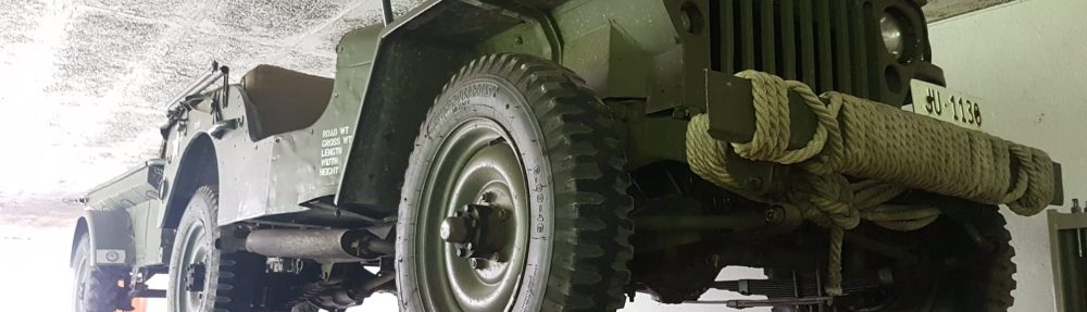 GARAGE WOLF'S SOLUTIONS & WOLF'S PROJECT MANAGEMENT